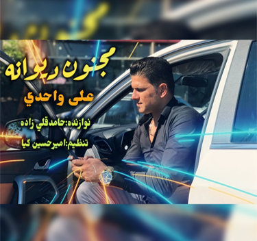 علی واحدی مجنون دیوانه